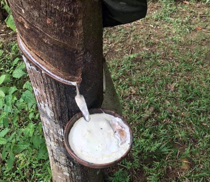 Les informations marquantes du 13 mai